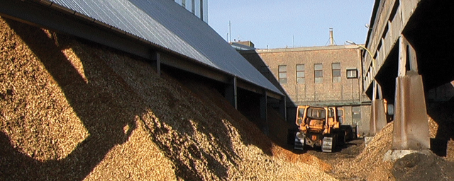 Harc a biomasszáért