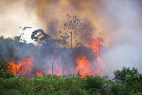 Szenzoradatok segítségével azonosítják Dél-Amerikában az erdőtüzeket.
